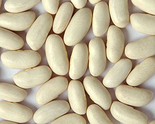 Generic , fagioli di rene bianchi (cannellini Bean), cresciuti biologicamente, 200 semi:Seeds