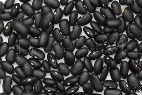 Generic Nero tartaruga fagioli 35+ Semi delizioso preferito spagnolo organici non OGM: Only Seeds