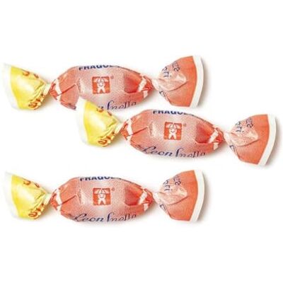 Pastiglie Leone Caramelle Dure Leonsnella Fragola Busta da 500 g Pastiglie Leone Caramelle Dure Leonsnella Fragola Busta da 500 g