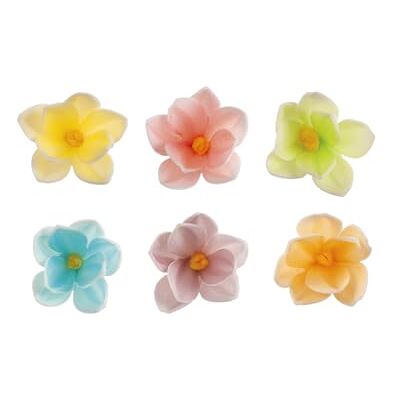dekora 35 decorazioni commestibili per torte – Fiori edibili in cialda 3,5 cm, 6 colori assortiti, Senza glutine e senza lattosio – Pasticceria creativa dekora 35 decorazioni commestibili per torte – Fiori edibili in cialda 3,5 cm, 6 colori assortiti, Senza glutine e senza lattosio – Pasticceria creativa