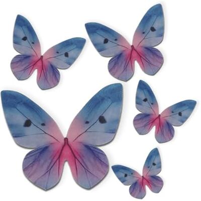 dekora 79 Farfalle Decorative 3D Commestibili Facile Decorazione Casalinga per Torte di Compleanno Farfalle in Wafer con Sfumature Azzurre Dimensioni 3-6 cm dekora 79 Farfalle Decorative 3D Commestibili Facile Decorazione Casalinga per Torte di Compleanno Farfalle in Wafer con Sfumature Azzurre Dimensioni 3-6 cm