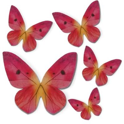 dekora 79 Farfalle Decorative 3D Commestibili Facile Decorazione Casalinga per Torte di Compleanno Farfalle in Wafer con Sfumature Rosa Dimensioni 3-6 cm dekora 79 Farfalle Decorative 3D Commestibili Facile Decorazione Casalinga per Torte di Compleanno Farfalle in Wafer con Sfumature Rosa Dimensioni 3-6 cm