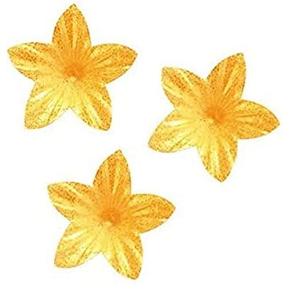 dekora Conf. 400 Fiori di Lillà in Cialda Decorazioni Commestibili per Torte, Oro Perlato dekora Conf. 400 Fiori di Lillà in Cialda Decorazioni Commestibili per Torte, Oro Perlato