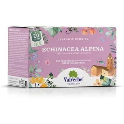 VALVERBE Tisana Echinacea Alpina Biologico 20 Filtri Pacco da 6 180 g VALVERBE Tisana Echinacea Alpina Biologico 20 Filtri Pacco da 6 180 g