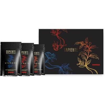 Kimbo 600 g Caffè in Grani, Sapiente, Specialty Artigianale Kit 3 x 200g 3 Confezioni da 200 g di Caffè in Grani, Tostatura Napoletana Specialty Kimbo 600 g Caffè in Grani, Sapiente, Specialty Artigianale Kit 3 x 200g 3 Confezioni da 200 g di Caffè in Grani, Tostatura Napoletana Specialty