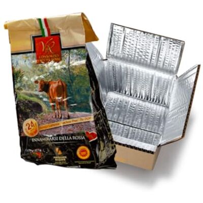 YesEatIs Parmigiano Reggiano DOP Vacche Rosse 24 Mesi Confezione EcoFresco Termoisolante con Ice Pack System 1 kg YesEatIs Parmigiano Reggiano DOP Vacche Rosse 24 Mesi Confezione EcoFresco Termoisolante con Ice Pack System 1 kg