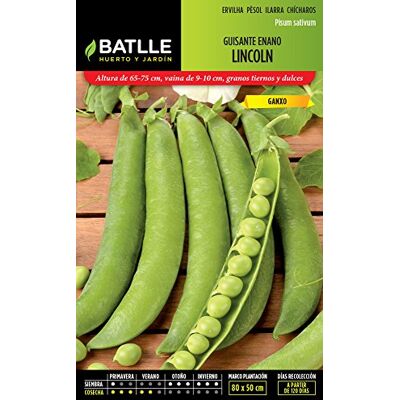 Semillas Batlle Semillas Legumineux – Guisante Nano Lincoln 5 kg – Batlle Semillas Batlle Semillas Legumineux – Guisante Nano Lincoln 5 kg – Batlle