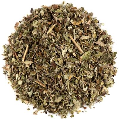 Valley of Tea Foglie Di Mora Tisane Bio Foglia Di Mora Tisana Foglie Di More Tisana Mora Foglie Mora Tisana Di More Foglie Di Mora Moro Tisana Di Mora Valley of Tea Foglie Di Mora Tisane Bio Foglia Di Mora Tisana Foglie Di More Tisana Mora Foglie Mora Tisana Di More Foglie Di Mora Moro Tisana Di Mora