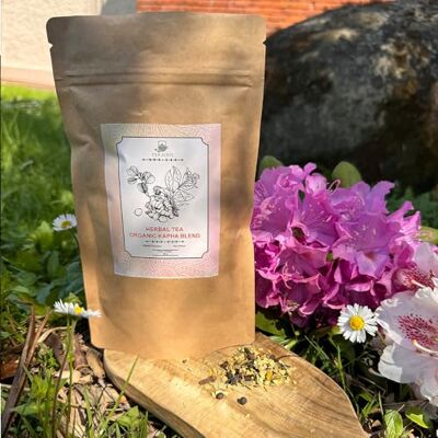 TEA SOUL Tisana Biologica Kapha in Bustine Piramidali 30g Zenzero, Eucalipto, Curcuma, Pepe Nero, Chiodi di Garofano e Cardamomo Ideale per Infusioni Prodotto Biologico TEA SOUL Tisana Biologica Kapha in Bustine Piramidali 30g Zenzero, Eucalipto, Curcuma, Pepe Nero, Chiodi di Garofano e Cardamomo Ideale per Infusioni Prodotto Biologico