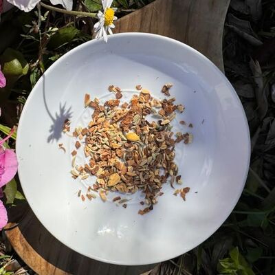 TEA SOUL Tisana Biologica Vata in Bustine Piramidali 30g Cannella, Zenzero, Finocchio, Limone, Liquirizia e Cardamomo Ideale per Infusioni Prodotto Biologico TEA SOUL Tisana Biologica Vata in Bustine Piramidali 30g Cannella, Zenzero, Finocchio, Limone, Liquirizia e Cardamomo Ideale per Infusioni Prodotto Biologico