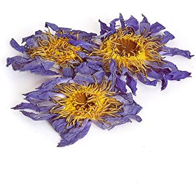 TEA SOUL Fiore di Loto Blu Essicato, Confezione Petali e Polline Sfusi, Effetto Rilassante e Calmante, per Stimolare il Metabolismo, Afrodisiaco Naturale 25 gr TEA SOUL Fiore di Loto Blu Essicato, Confezione Petali e Polline Sfusi, Effetto Rilassante e Calmante, per Stimolare il Metabolismo, Afrodisiaco Naturale 25 gr