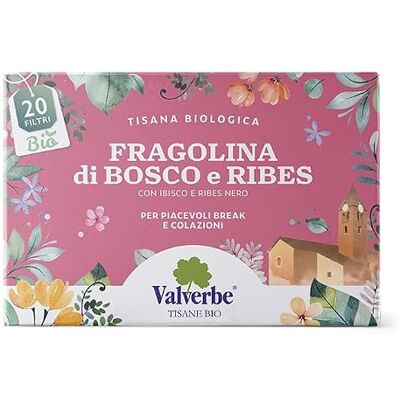 VALVERBE 20 bustine con filtro tisana al gusto Fragolina di bosco e Ribes- VALVERBE 20 bustine con filtro tisana al gusto Fragolina di bosco e Ribes-