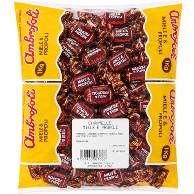 Ambrosoli Caramelle Miele e Propoli con Echinacea e Rosa Canina, Busta 1 kg, Supporto Difese Ambrosoli Caramelle Miele e Propoli con Echinacea e Rosa Canina, Busta 1 kg, Supporto Difese