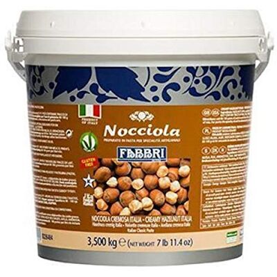 Fabbri PASTA DI NOCCIOLA 3.5KG Fabbri PASTA DI NOCCIOLA 3.5KG