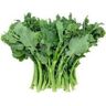 SVI Heirloom cime di rapa inizio autunno Rapini Rabe❋1000 Seeds❋Asparago❋Non OGM