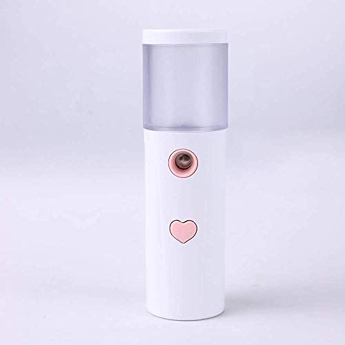 Flowish Nano Facial Mister Mini vaporizzatore portatile a nebbia fredda per il viso Spray idratante e idratante USB ricaricabile Nano Mister Travel Face Umidificatore Atomizzatore (rosa)