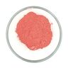Jan Benham Cosmetics Impact Colour Pigments Opaco Rossetto/Trucco/Lipgloss/Matite cosmetiche (Vieni qui!, 100g)
