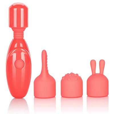 CalExotics 138089 Massager Kit CalExotics 138089 Massager Kit