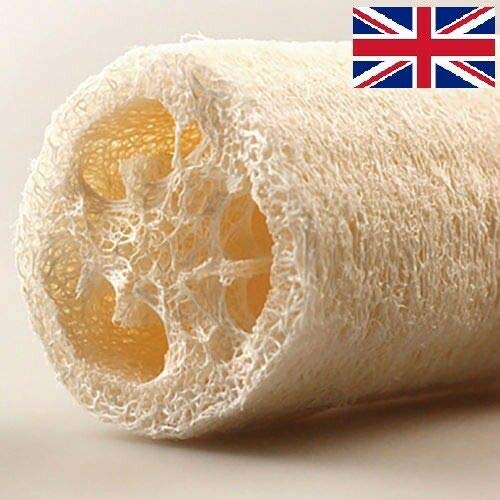 Creative Loofah Spa Bad Sponge Spugna naturale da cucina Clean Scrubber Exootic