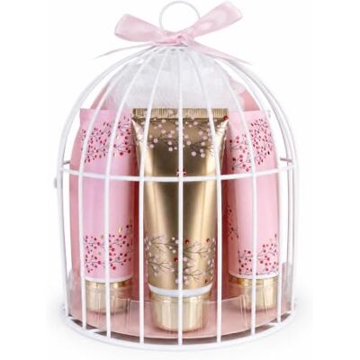 accentra Set da bagno WILD BERRY gabbia 145 g sapone vaniglia e cranberry Kit wellness femminile con gel doccia, lozione corpo, crema mani unghie, sapone, spugna retata per relax domestico curato accentra Set da bagno WILD BERRY gabbia 145 g sapone vaniglia e cranberry Kit wellness femminile con gel doccia, lozione corpo, crema mani unghie, sapone, spugna retata per relax domestico curato