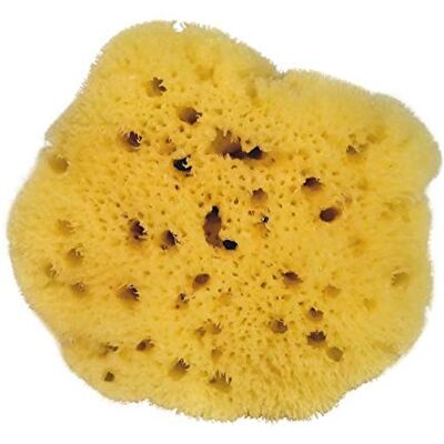 Spugna naturale Croll & Denecke - 8 cm - Cura personale Spugna naturale Croll & Denecke - 8 cm - Cura personale