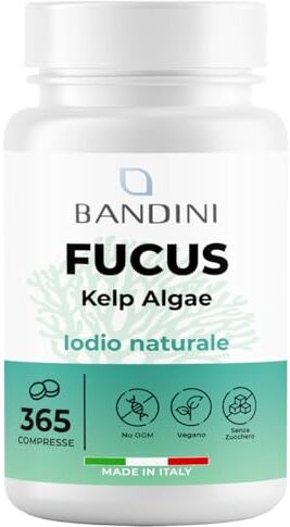 BANDINI ® Fucus Kelp Algae (Iodio Naturale 225mcg) 365 Compresse (Copertura 1 anno) Vegane Alga Bruna Titolata allo 0,1% in Iodio – Stimola il Metabolismo Energetico Salute di Unghie e Capelli