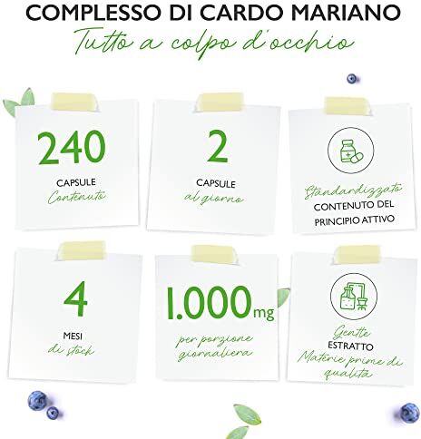 Vit4ever Complesso di cardo mariano, carciofo e dente di leone 240 capsule (fornitura per 4 mesi) Altamente dosato con 80% di silimarina e 2,5% di cinarina Vegan