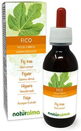 Naturalma Fico (Ficus carica) Gemmoderivato analcoolico da gemme fresche    Estratto liquido gocce 120 ml   Integratore alimentare   Vegano