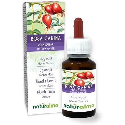 Naturalma Rosa canina (Rosa canina) frutti Tintura Madre analcoolica Ricca di Vitamina C- Estratto liquido gocce 60 ml Integratore alimentare Vegano Naturalma Rosa canina (Rosa canina) frutti Tintura Madre analcoolica Ricca di Vitamina C- Estratto liquido gocce 60 ml Integratore alimentare Vegano