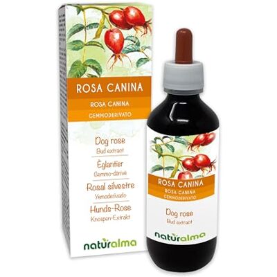 Naturalma Rosa canina (Rosa canina) Gemmoderivato analcoolico da giovani getti freschi Estratto liquido gocce 200 ml Integratore alimentare Vegano Naturalma Rosa canina (Rosa canina) Gemmoderivato analcoolico da giovani getti freschi Estratto liquido gocce 200 ml Integratore alimentare Vegano