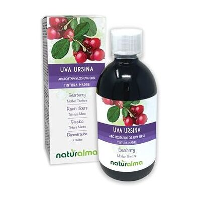 Naturalma Uva ursina (Arctostaphylos uva ursi) foglie Tintura Madre analcoolica Estratto liquido gocce 500 ml Integratore alimentare Vegano Naturalma Uva ursina (Arctostaphylos uva ursi) foglie Tintura Madre analcoolica Estratto liquido gocce 500 ml Integratore alimentare Vegano