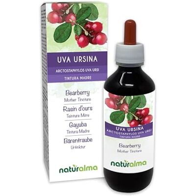 Naturalma Uva ursina (Arctostaphylos uva ursi) foglie Tintura Madre analcoolica Estratto liquido gocce 200 ml Integratore alimentare Vegano Naturalma Uva ursina (Arctostaphylos uva ursi) foglie Tintura Madre analcoolica Estratto liquido gocce 200 ml Integratore alimentare Vegano