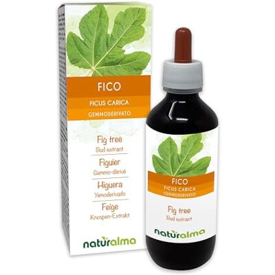 Naturalma Fico (Ficus carica) Gemmoderivato analcoolico da gemme fresche Estratto liquido gocce 200 ml Integratore alimentare Vegano Naturalma Fico (Ficus carica) Gemmoderivato analcoolico da gemme fresche Estratto liquido gocce 200 ml Integratore alimentare Vegano