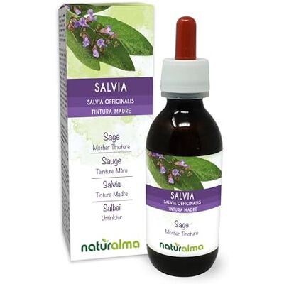 Naturalma Salvia (Salvia officinalis) foglie Tintura Madre analcoolica Estratto liquido gocce 120 ml Integratore alimentare Vegano Naturalma Salvia (Salvia officinalis) foglie Tintura Madre analcoolica Estratto liquido gocce 120 ml Integratore alimentare Vegano