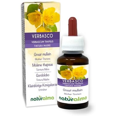 Naturalma Verbasco o Tasso barbasso (Verbascum thapsus) fiori e foglie Tintura Madre analcoolica Estratto liquido gocce 60 ml Integratore alimentare Vegano Naturalma Verbasco o Tasso barbasso (Verbascum thapsus) fiori e foglie Tintura Madre analcoolica Estratto liquido gocce 60 ml Integratore alimentare Vegano