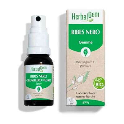 Herbalgem Ribes Nero Bio – Macerato Madre Gemmoterapia Supporto per Articolazioni e Muscoli Estratto di Gemme Fresche Concentrato Vegano Spray 15 ml Herbalgem Ribes Nero Bio – Macerato Madre Gemmoterapia Supporto per Articolazioni e Muscoli Estratto di Gemme Fresche Concentrato Vegano Spray 15 ml
