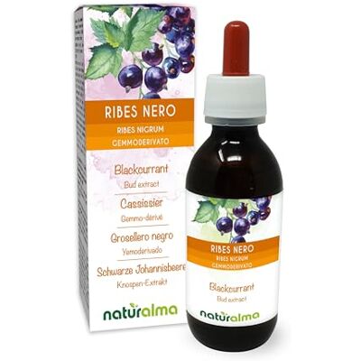 Naturalma Ribes nero (Ribes nigrum) Gemmoderivato analcoolico da gemme fresche Estratto liquido gocce 120 ml Integratore alimentare Vegano Naturalma Ribes nero (Ribes nigrum) Gemmoderivato analcoolico da gemme fresche Estratto liquido gocce 120 ml Integratore alimentare Vegano