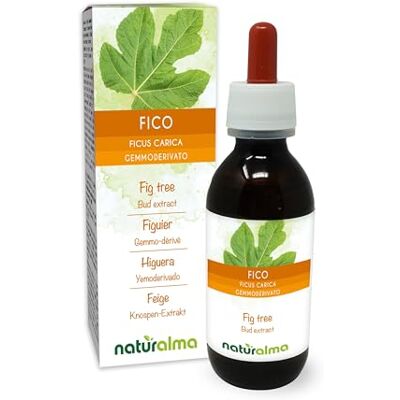 Naturalma Fico (Ficus carica) Gemmoderivato analcoolico da gemme fresche Estratto liquido gocce 120 ml Integratore alimentare Vegano Naturalma Fico (Ficus carica) Gemmoderivato analcoolico da gemme fresche Estratto liquido gocce 120 ml Integratore alimentare Vegano