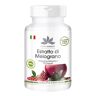 herba direkt Estratto di melograno di Warnke Health Products con acido ellagico al 40% (90 capsule), 1 x 54g