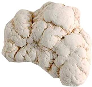 Generico CRIGEMA Pietra grezza minerale naturale per cristalloterapia meditazione cristalli (MAGNESITE 4 CM)