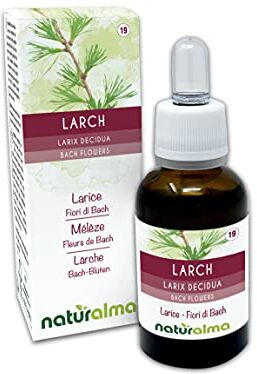 Naturalma Larch o larice (Larix decidua) Fiori di Bach    n. 19   Gocce 30 ml   Estratto liquido analcoolico   Essenza floreale   Vegano e Senza alcol