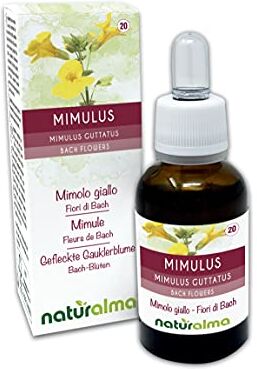 Naturalma Mimulus o Mimolo giallo (Mimulus guttatus) Fiori di Bach    n. 20   Gocce 30 ml   Estratto liquido analcoolico   Essenza floreale   Vegano e Senza alcol