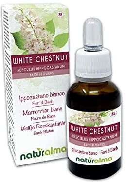 Naturalma White chestnut o Ippocastano bianco (Aesculus hippocastanum) Fiori di Bach    n. 35   Gocce 30 ml   Estratto liquido analcoolico   Essenza floreale   Vegano e Senza alcol