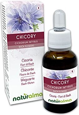 Naturalma Chicory o cicoria (Cichorium intybus) Fiori di Bach    n. 8   Gocce 30 ml   Estratto liquido analcoolico   Essenza floreale   Vegano e Senza alcol