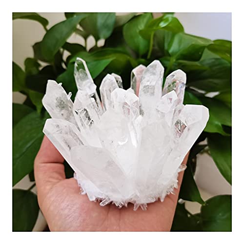 LABDIP decorazione della stanza Cluster di cristallo bianco naturale Cristallo di quarzo Pietre thReiki Crystal Point Specimen Decorazione domestica Bacchetta di cristallo (Size : 250-300g)