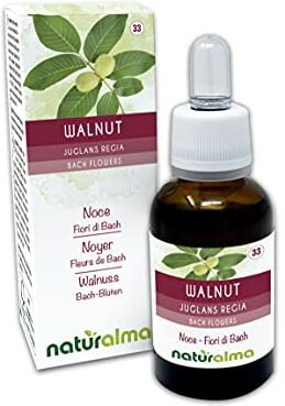 Naturalma Walnut o Noce (Juglans regia) Fiori di Bach    n. 33   Gocce 30 ml   Estratto liquido analcoolico   Essenza floreale   Vegano e Senza alcol