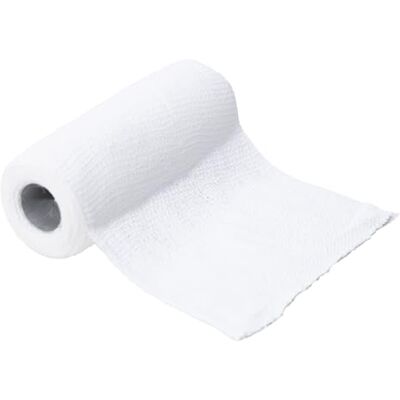 GIMA Previs Previnzinc E, Benda Elastica in Poliammide e Viscosa con Pasta all’Ossido di Zinco, Misura 10 cm x 5 m, Confezione da 10 pezzi in Busta di Alluminio GIMA Previs Previnzinc E, Benda Elastica in Poliammide e Viscosa con Pasta all’Ossido di Zinco, Misura 10 cm x 5 m, Confezione da 10 pezzi in Busta di Alluminio