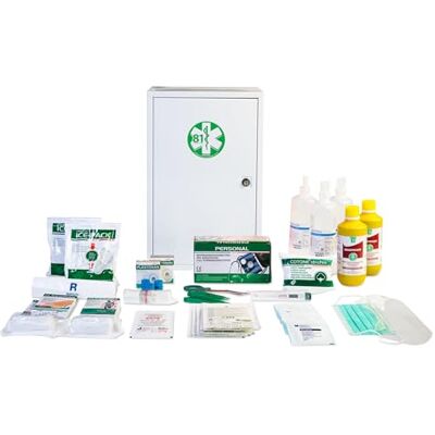 PVS First Aid Gima 34199 Kit Pronto Soccorso All. 1, Valigetta Metallo PVS First Aid Gima 34199 Kit Pronto Soccorso All. 1, Valigetta Metallo