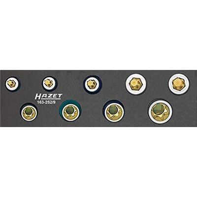 Hazet 163-252/9 Serie di Utensili Torx, Oro, Attacco Quadro, Cavo, 10 mm 3/8 di Pollice Hazet 163-252/9 Serie di Utensili Torx, Oro, Attacco Quadro, Cavo, 10 mm 3/8 di Pollice