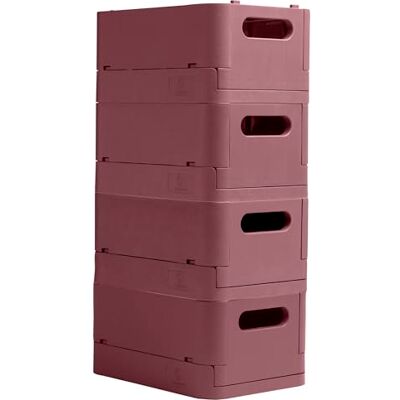 Exacompta A5+ Rosa Vieux Scatole di conservazione - Confezione da 4 Exacompta A5+ Rosa Vieux Scatole di conservazione - Confezione da 4